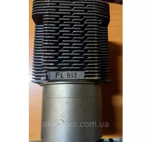 Гільза циліндра FL912THM DEUTZ 912 - 100mm FL912 04157756 04241001 04157403 04231497 89005110 20040591200 Гільза циліндра FL912THM DEUTZ 912 - 100mm FL912 04157756 04241001 04157403 04231497 89005110 20040591200