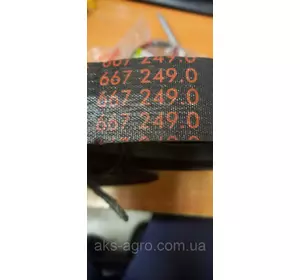 6672490 ОРІГІНАЛ Ремінь приводу реверсивного барабана Claas 667249, 000667249, 667249.0, 0006672490, 1423196 6672490 ОРІГІНАЛ Ремінь приводу реверсивного барабана Claas 667249, 000667249, 667249.0, 0006672490, 1423196