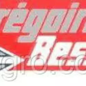 Запчастини до плугів gregoire besson Запчастини до плугів gregoire besson