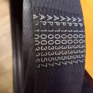 Паси (ремені) Паси (ремені)