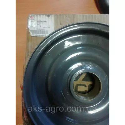 D28250441 6205413M91 Шкiв натяжний подрібнювача Massey Ferguson 7274/7278