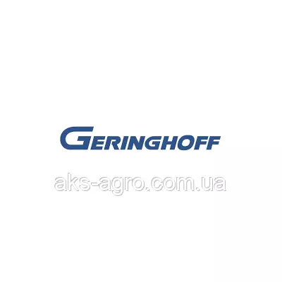 Зірочка z = 20 GERINGHOFF 031090