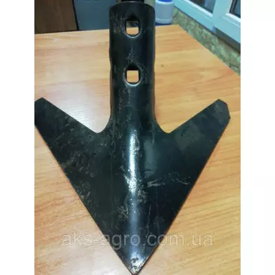 Лапа стрільчата